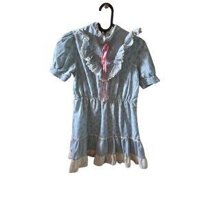 Vintage Sears Roebuck & Co. Regular 10 Blue Floral‎ Dress With White Lace & Pink